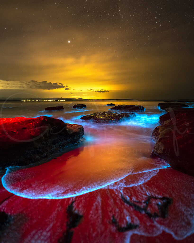 Pandora – Bioluminescence in Jervis Bay, How & When to See It