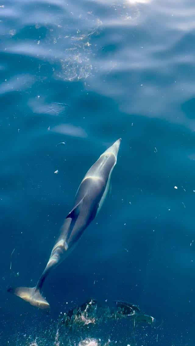 Welcome to Paradise 🩵