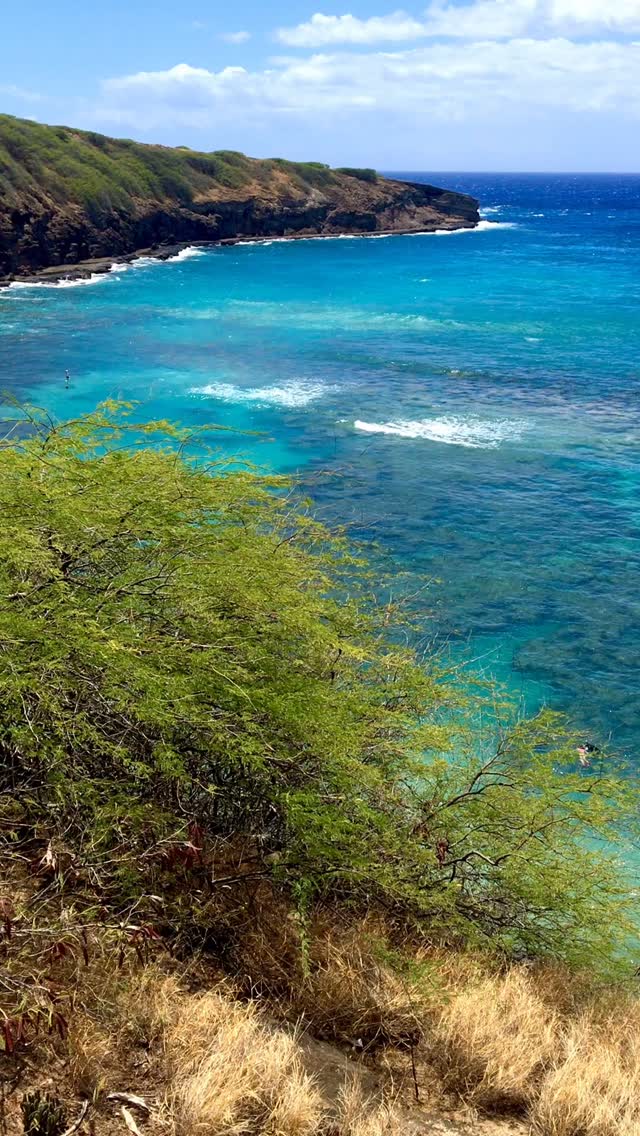 Hanauma Bay, Oahu Hawaii 🌴