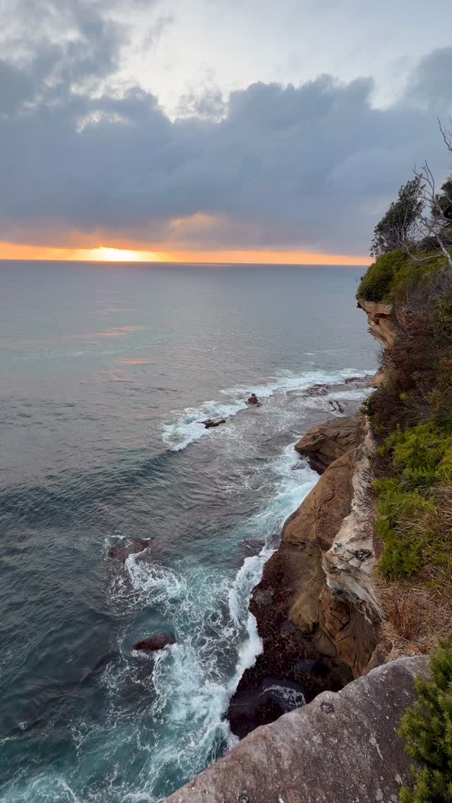 Daily Sunrise at Bronte 🌊