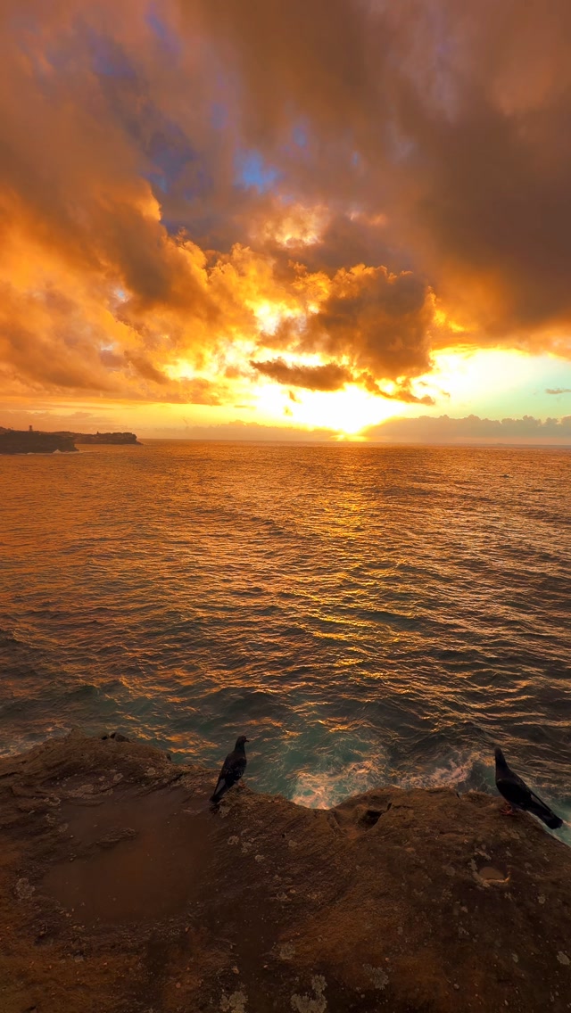 The best mornings begin by the sea 💛