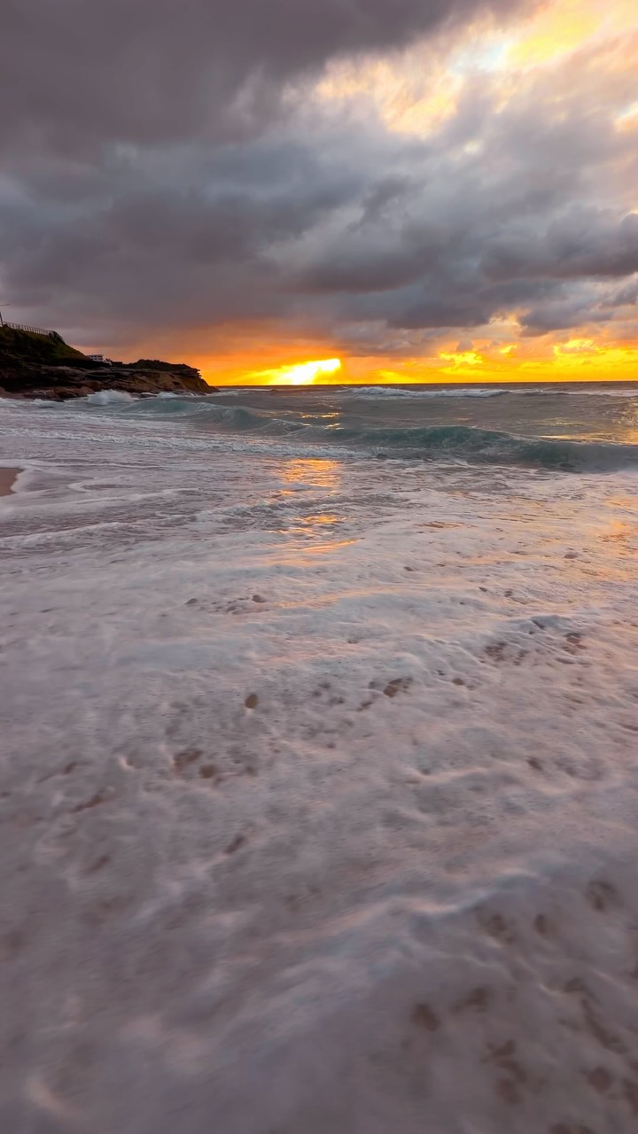A little piece of Bronte every day 💛