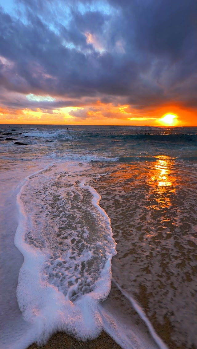 Daily Sunrise at Bronte Beach 💛