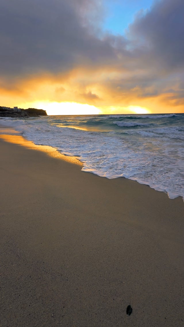 The path to paradise isn’t paved. It’s covered in sand 💛