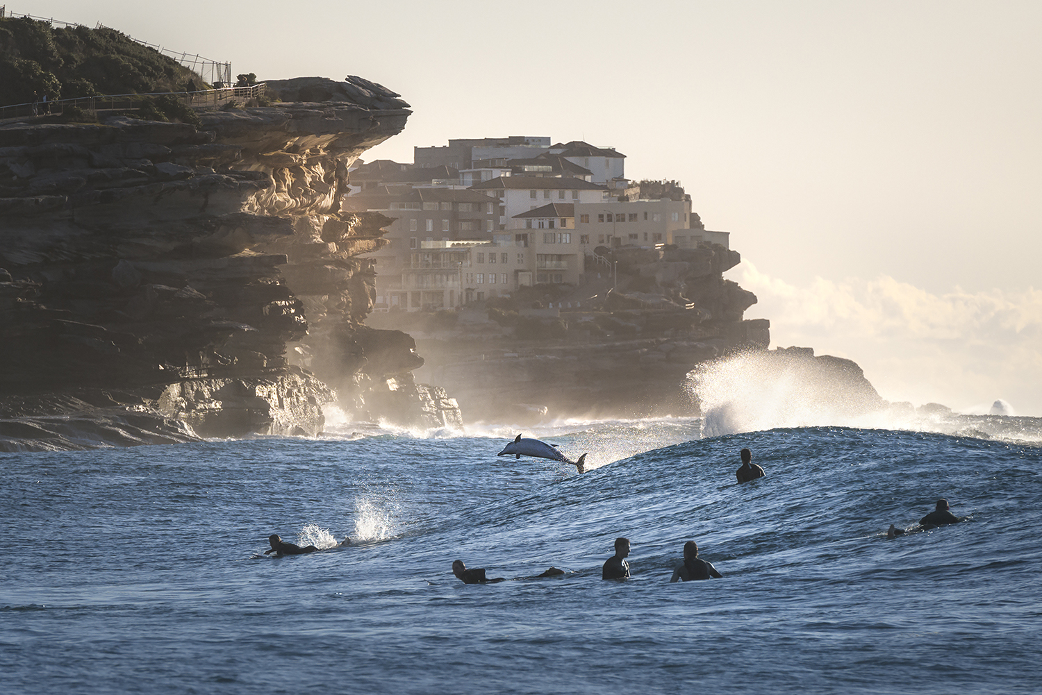 Rapture - Dolphins leaping through waves alongside surfers at Bronte Beach, capturing the spirit of joy, awareness, and coastal conservation.