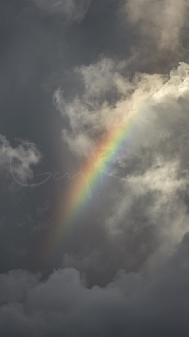Gergo Rugli - Rainbow
