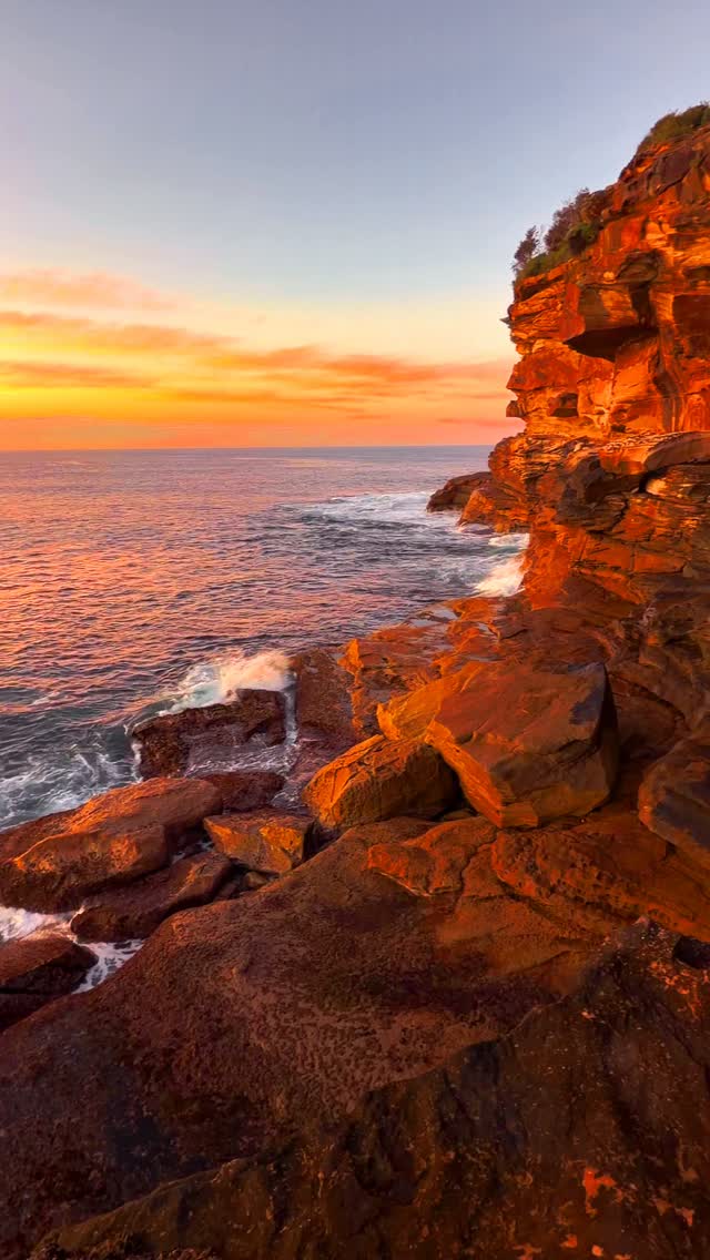 Daily Sunrise at Bronte Beach 💛
