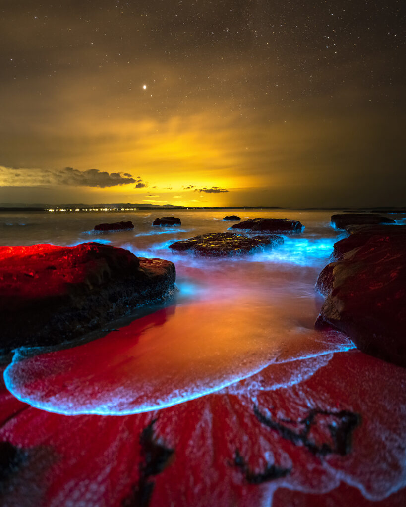 Pandora - Bioluminescent waves glowing along the shoreline of Jervis Bay, with water under a night sky.