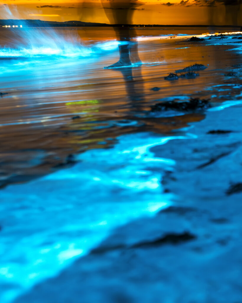 Pandora - Bioluminescent waves glowing along the shoreline of Jervis Bay, with water under a night sky.