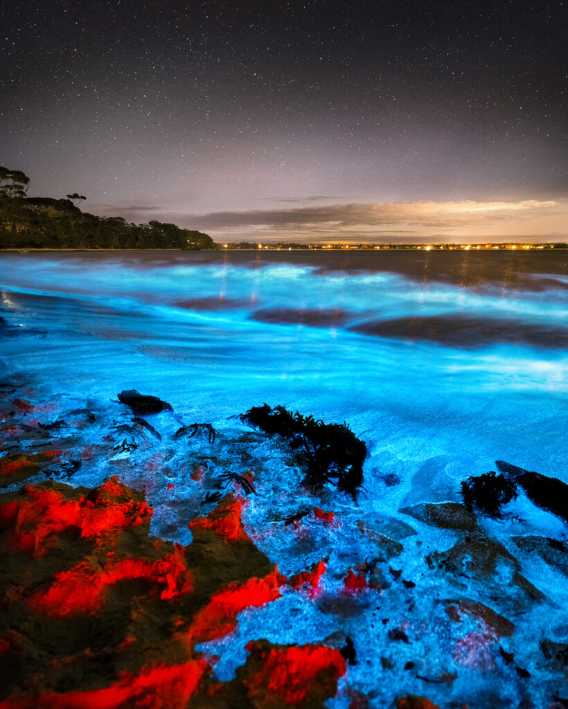 Pandora - Bioluminescent waves glowing along the shoreline of Jervis Bay, with water under a night sky.