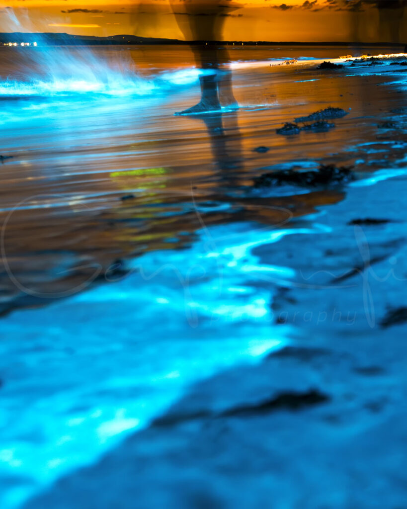 Pandora - Bioluminescent waves glowing along the shoreline of Jervis Bay, with water under a night sky.