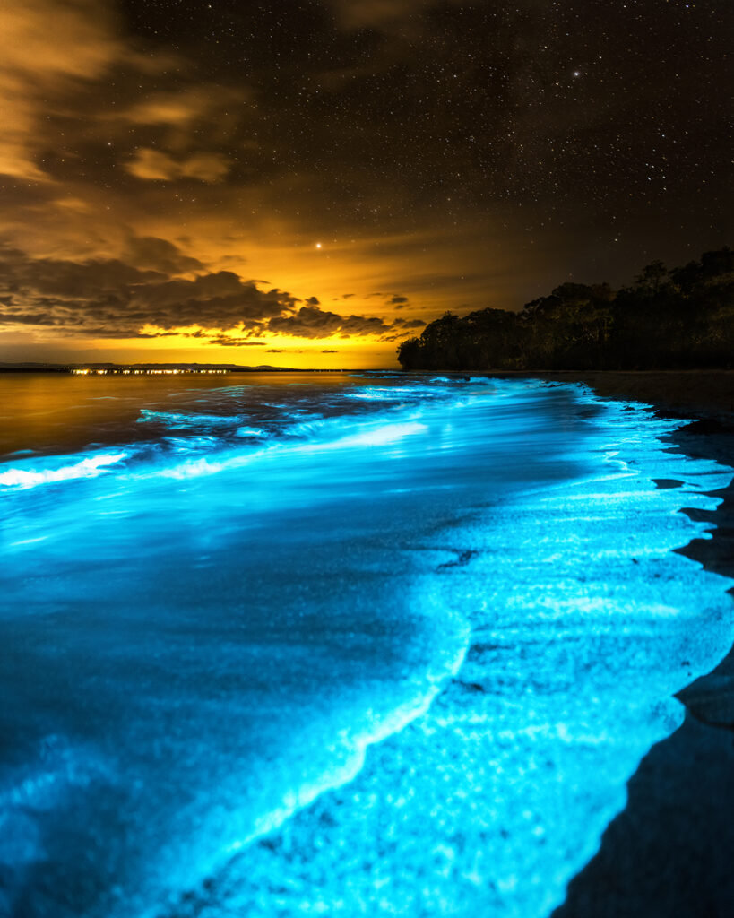 Pandora - Bioluminescent waves glowing along the shoreline of Jervis Bay, with water under a night sky.
