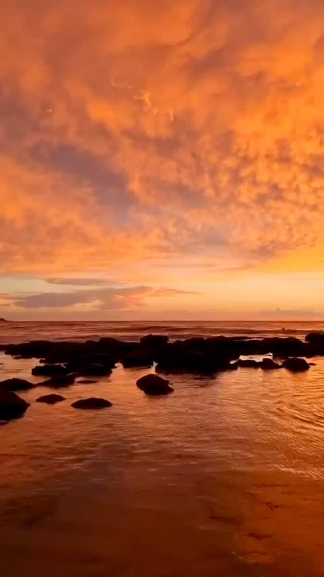 Daily Sunrise at Bronte Beach 🌅
