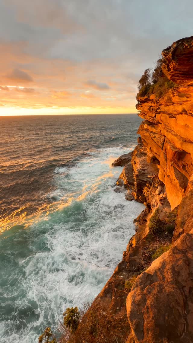Bronte Beach every day 💛