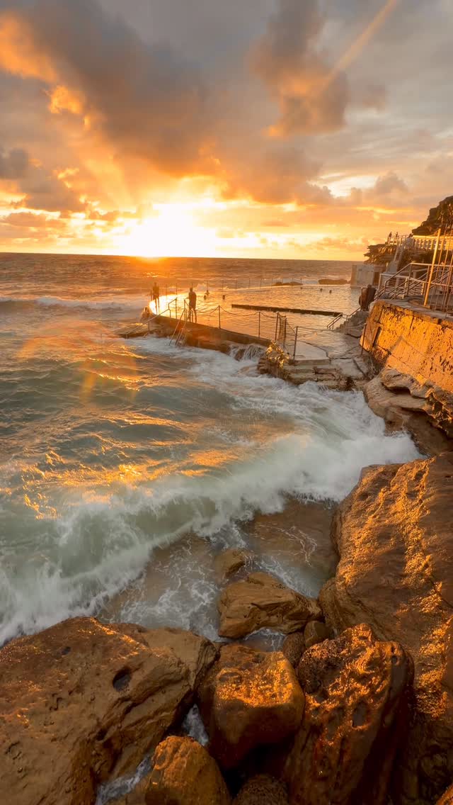 A little piece of Bronte every day 💛