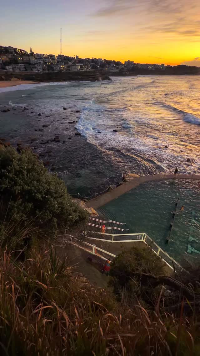 A little piece of Bronte every day 💛
