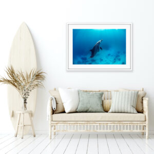 Sea Life Art - Homo Delphinus