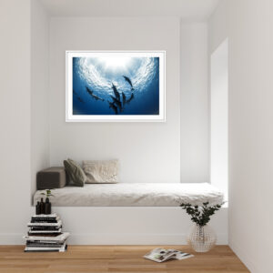 Sea Life Art - Ocean Delirium