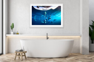 Sea Life Art - Blakey’s Dream