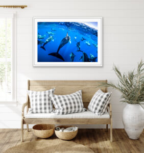 Sea Life Art - Epiphany
