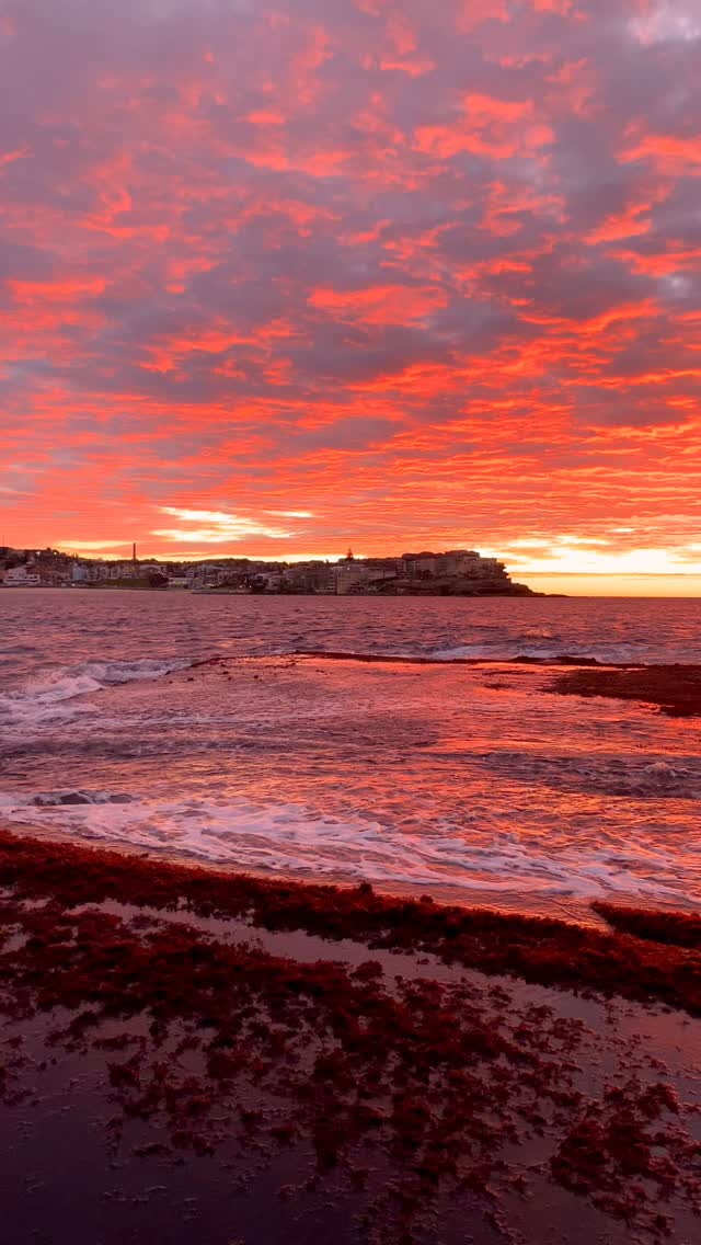 #goodmorning #Bronte #Australia #BronteBeach #feelnewsydney #feelnsw 
#exploreaustralia #Bondi #bondibeach #ilovesydney #seeaustralia #sunrise
#bondilife #seeaustralia #sunriselover #landscapephotography #seascapes  #discoverearth