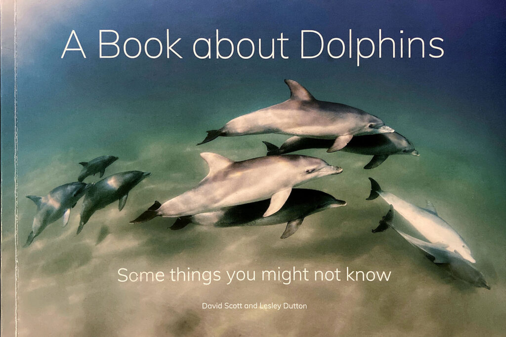 A Book about Dolphins