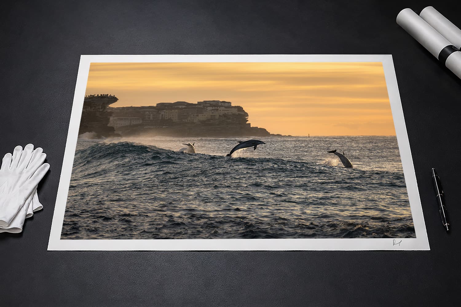 Bottlenose dolphins leaping at Tamarama Beach, Sydney, presented as a signed fine art photographic print