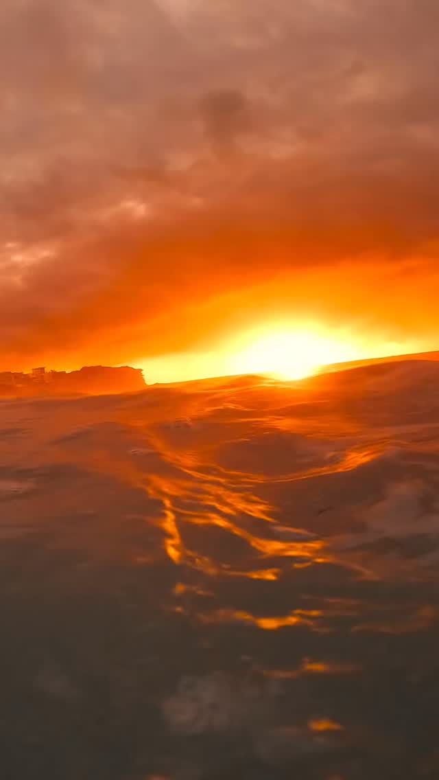 Dipped in sunlight ✨

#goodmorning #Bronte #Australia #BronteBeach #feelnewsydney #feelnsw 
#exploreaustralia #Bondi #bondibeach #ilovesydney #seeaustralia #sunrise
#bondilife #seeaustralia #sunriselover