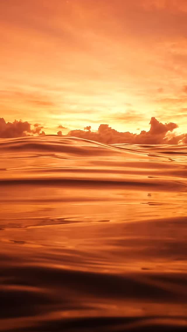 #bestsunrise  #exploreaustralia #bronte #Australia #BronteBeach #feelnewsydney #feelnsw #Bondi #bondibeach #ilovesydney #seeaustralia #sunrise #art #fineartphotography
#sunriselover #landscapephotography #seascapes  #discoverearth #moody #australianphotography #visualarts