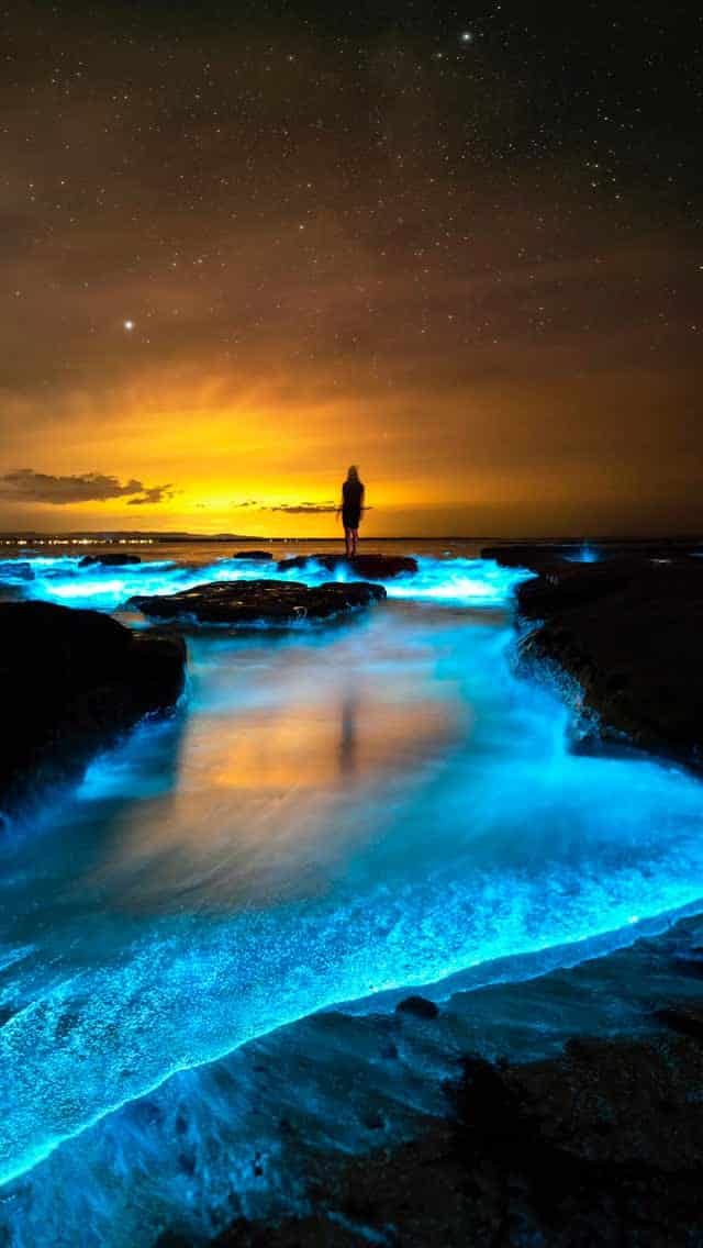 One of the most incredible experiences of my life in Jervis Bay.
Seeing bioluminescence light up the water in electric blue felt unreal, like stepping into another world. The glow comes from tiny organisms in the water that emit light when disturbed, so every movement triggered bursts of colour. All of these images are real and were captured over a few unforgettable hours during this magical night.