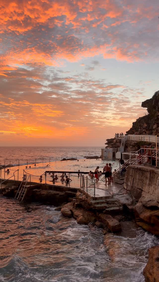 A little piece of Bronte every day 💛