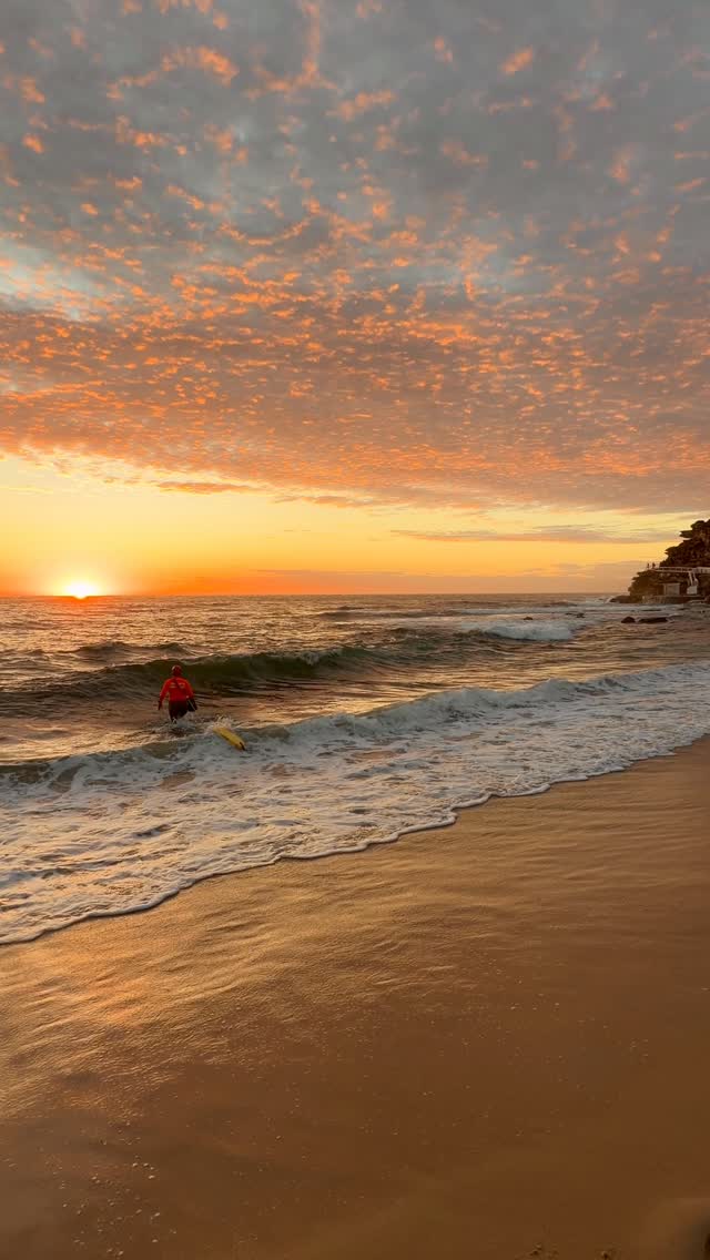 A little piece of Bronte every day 💛