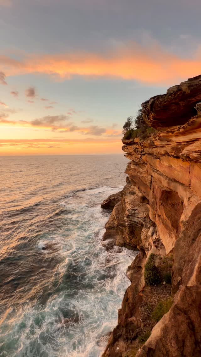 A little piece of Bronte every day 💛