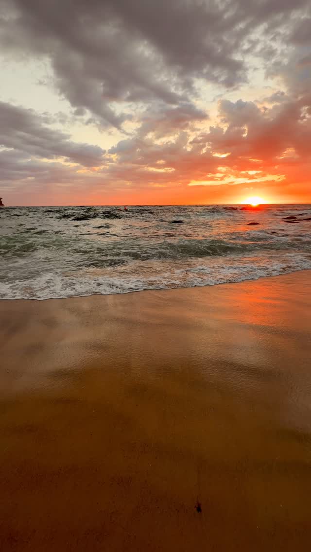 A little piece of Bronte every day 💛