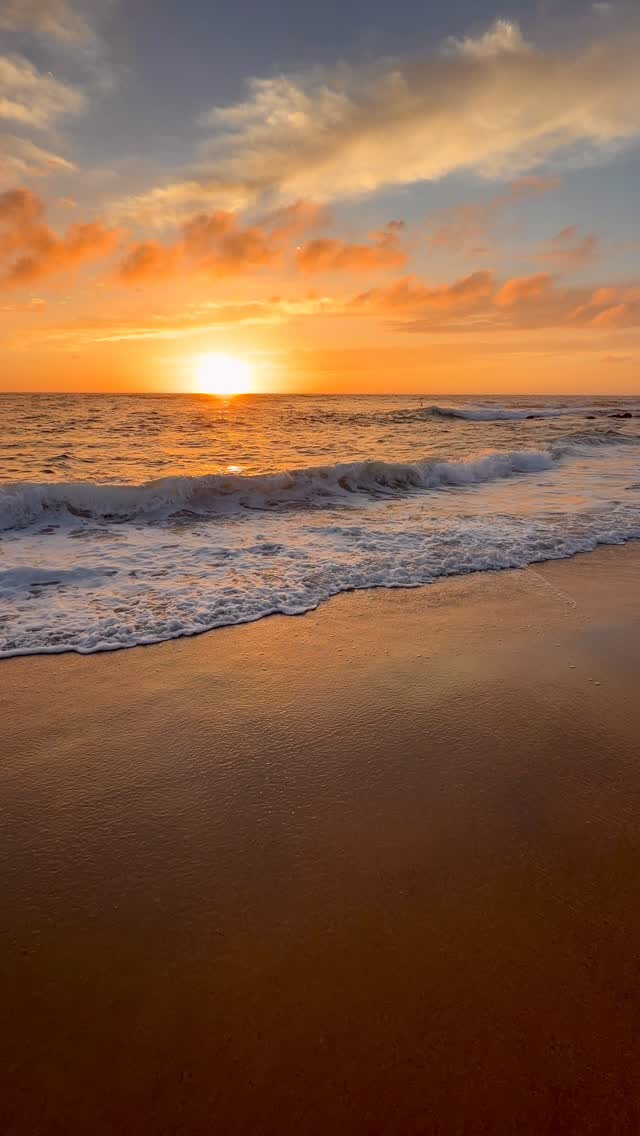 A little piece of Bronte every day 💛