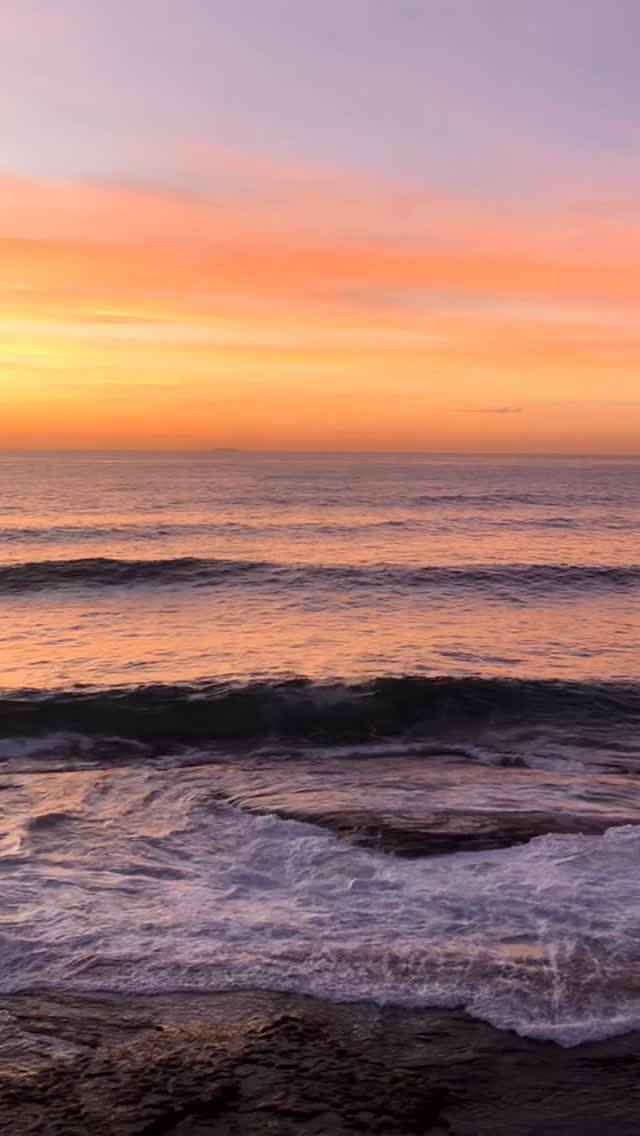 A little piece of Bronte every day 💛