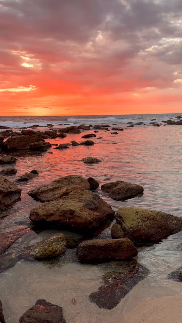 A little piece of Bronte every day 💛