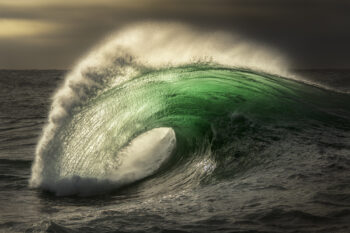 Fine Art Print - Nereus