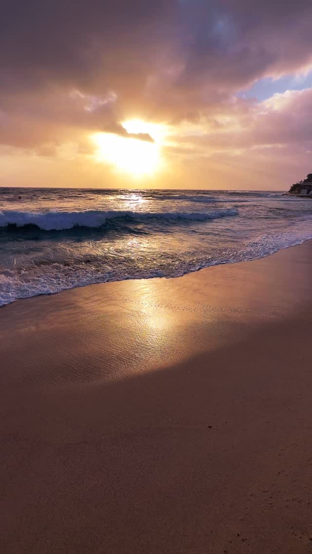 A little piece of Bronte every day 💛