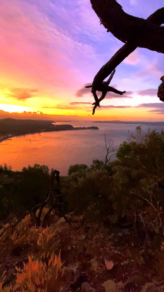 One of the most epic views along Australia’s East Coast 💛