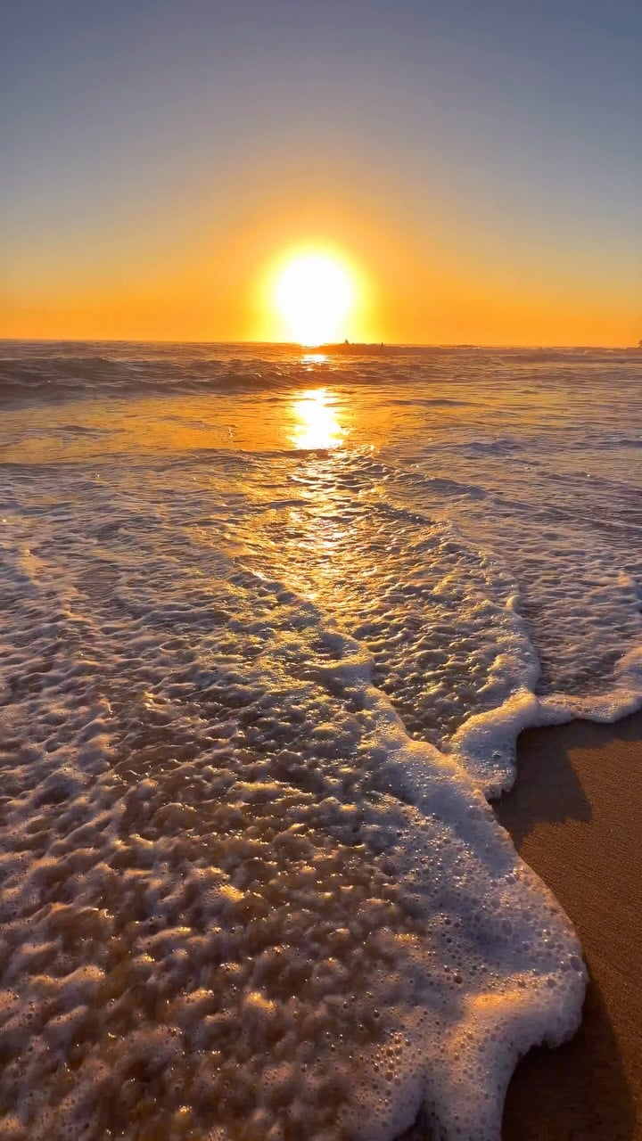 A little piece of Bronte every day 💛