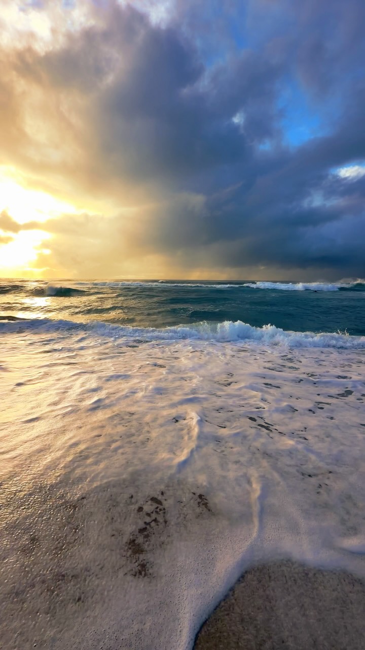Daily Sunrise at Bronte Beach 💛