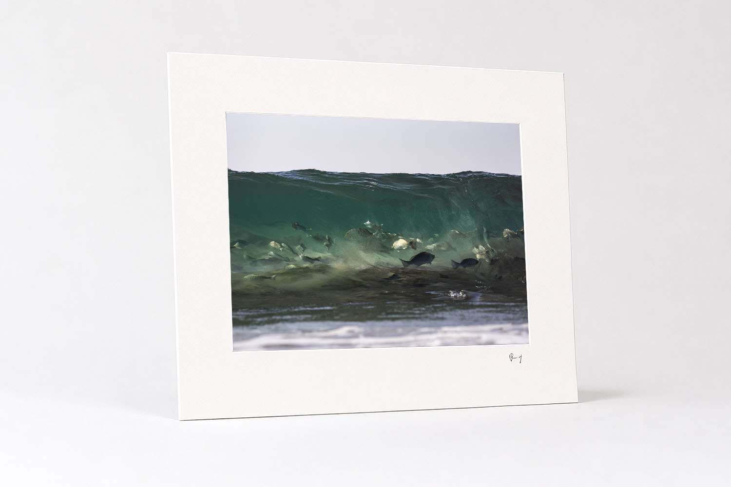 Mounted fine art print of a school of luderick swimming beneath a translucent ocean wave at Byron Bay, Australia.