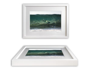 Framed Fine Art Print - Dance of the Luderick
