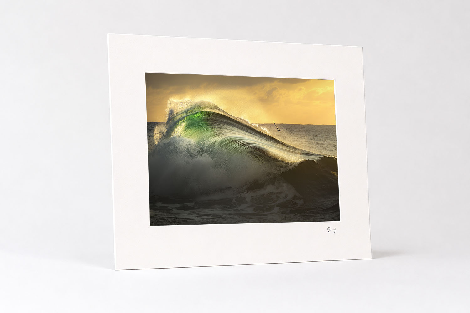 Mounted fine art print of a glowing emerald wave and soaring bird at sunrise in southern NSW, showcasing Australian ocean photography.