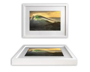 Framed Fine Art Print - Griffin