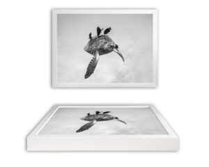 Framed Fine Art Print - Shell Wash
