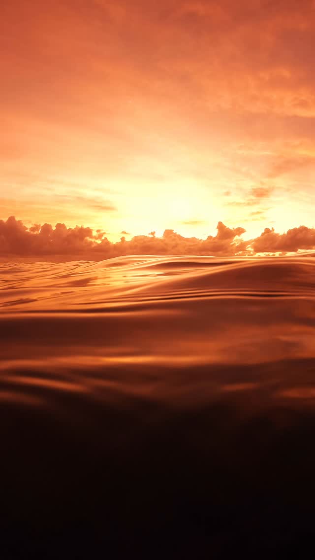 #bestsunrise  #exploreaustralia #bronte #Australia #BronteBeach #feelnewsydney #feelnsw #Bondi #bondibeach #ilovesydney #seeaustralia #sunrise #art #fineartphotography
#sunriselover #landscapephotography #seascapes  #discoverearth #moody #australianphotography #visualarts