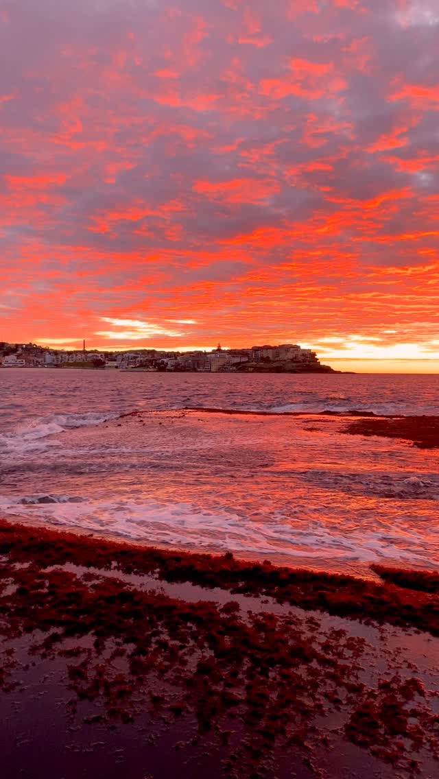 Bondi on fire 🔥