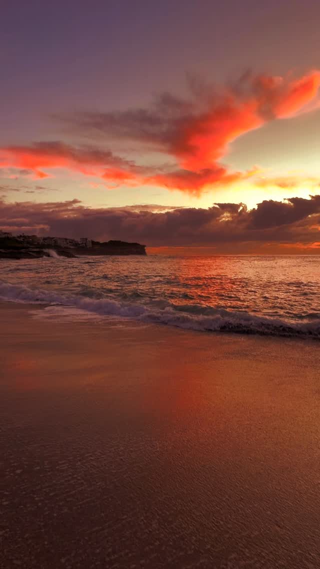 A little piece of Bronte every day 💛